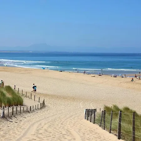 Les Pieds Dans L'ocean